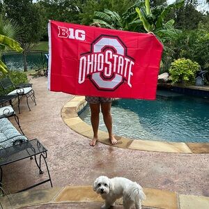3’x5’ hoyse flag with grommets for flag pole OHIO State big 10